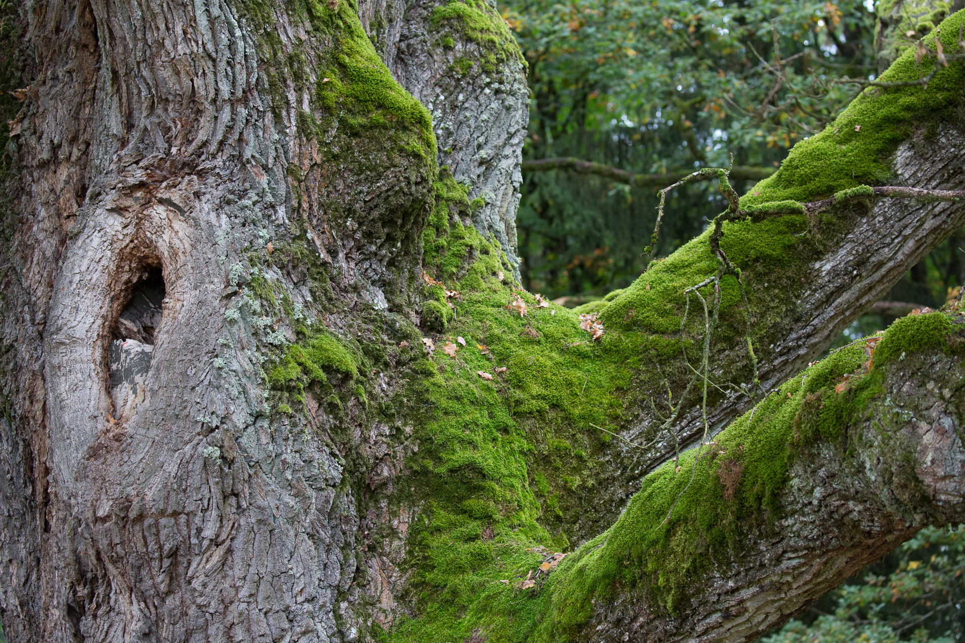 20231014100727 3K6A2226